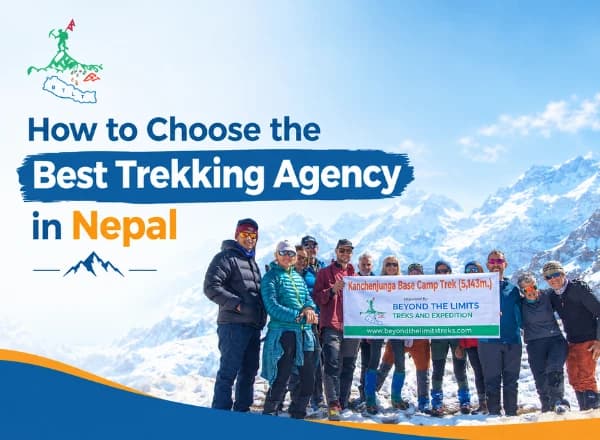 How to Choose the Best Trekking Agency in Nepal : 15 Essential Checks