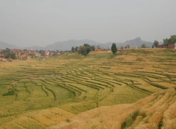 Manaslu Circuit teahouse Trek