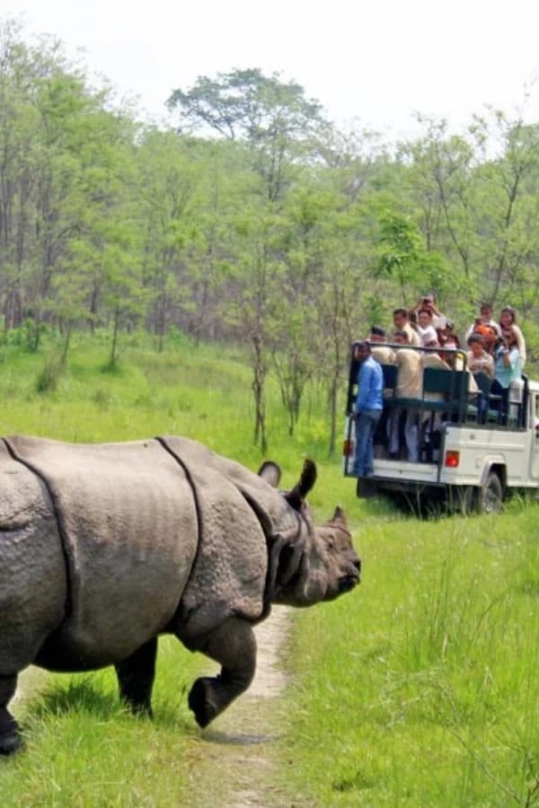 Chitwan Jungle Safari
