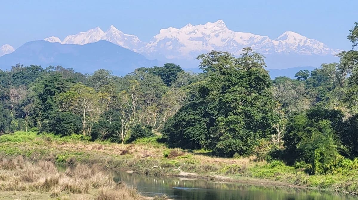 Rapti river Bank (Chitwan national Park)