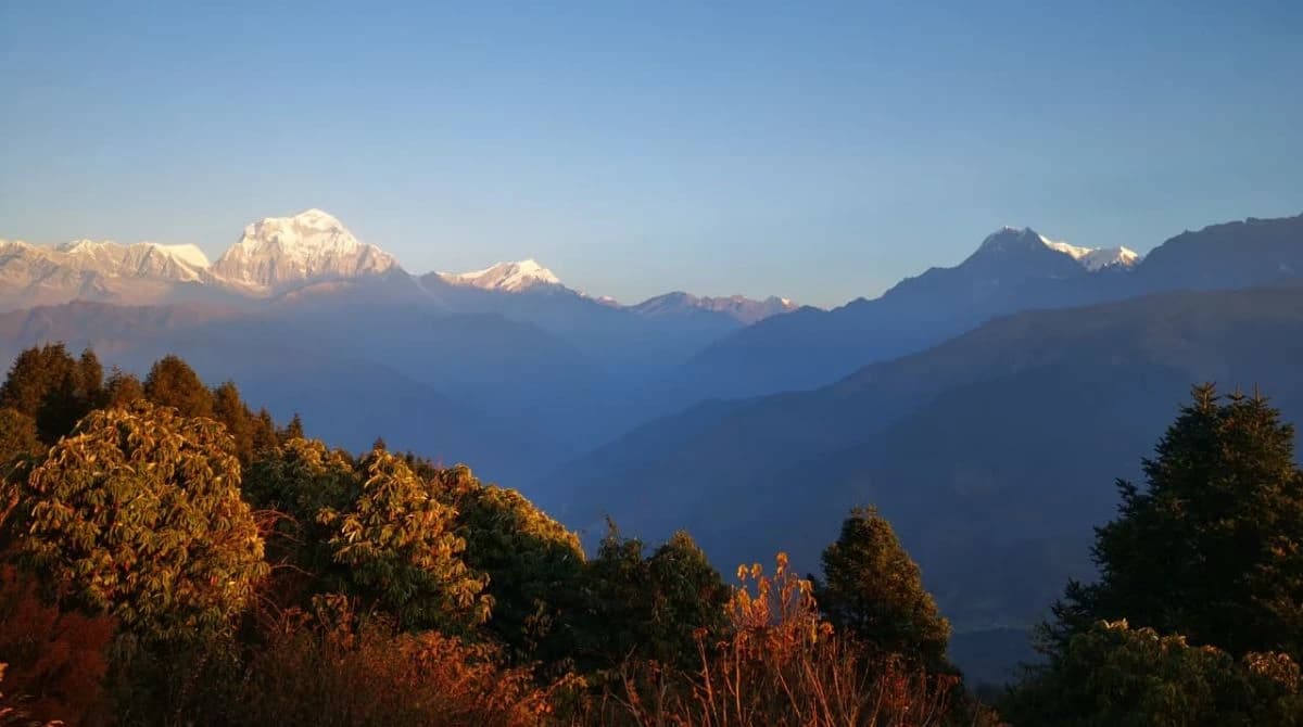 Mt Dhaulagiri(sixth highest mountain) from PoonHill