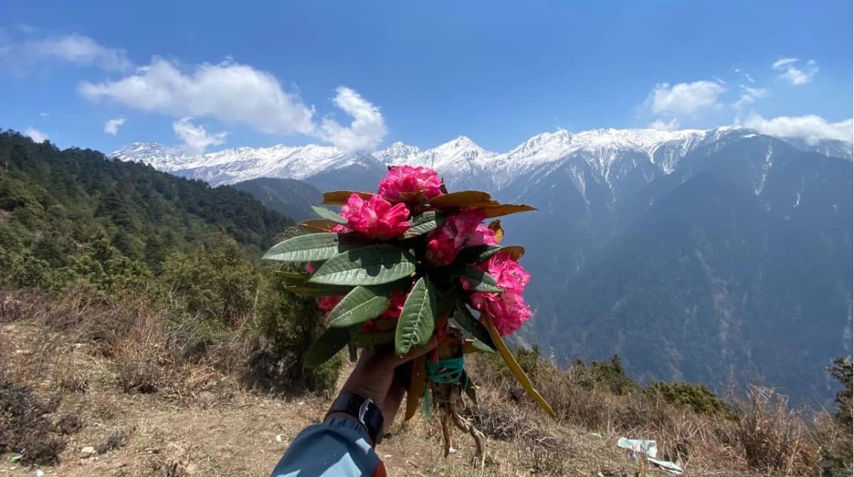 Way to Lauribina during Gosaikunda Lake Trek