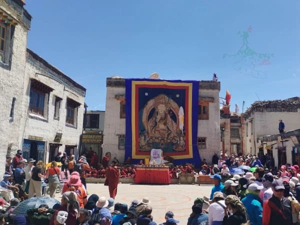 Festival tour mustang