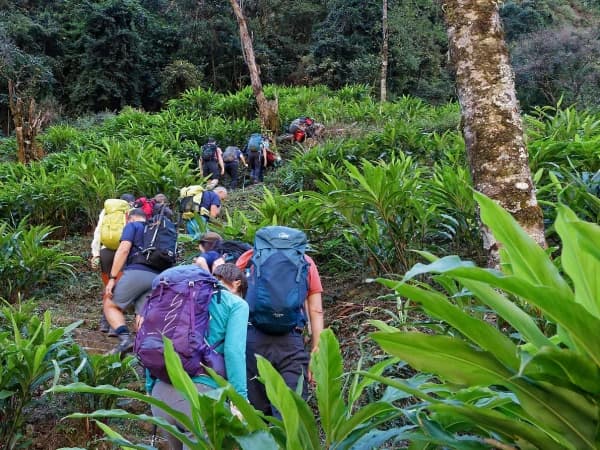 Kanchenjunga wilderness trekking