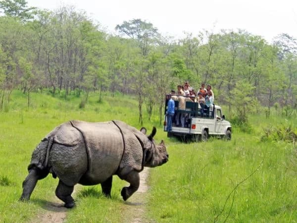 Chitwan Jungle Safari