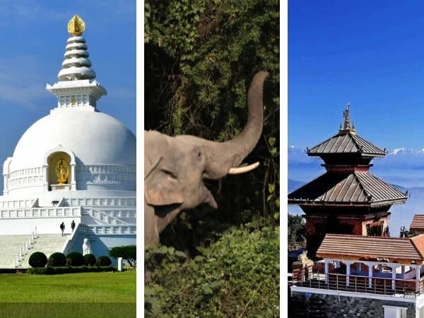 Kathmandu Chitwan Pokhara Tour