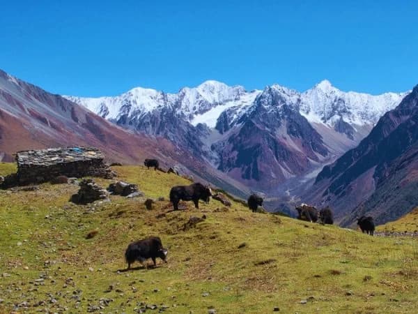 Tsum Valley Trek