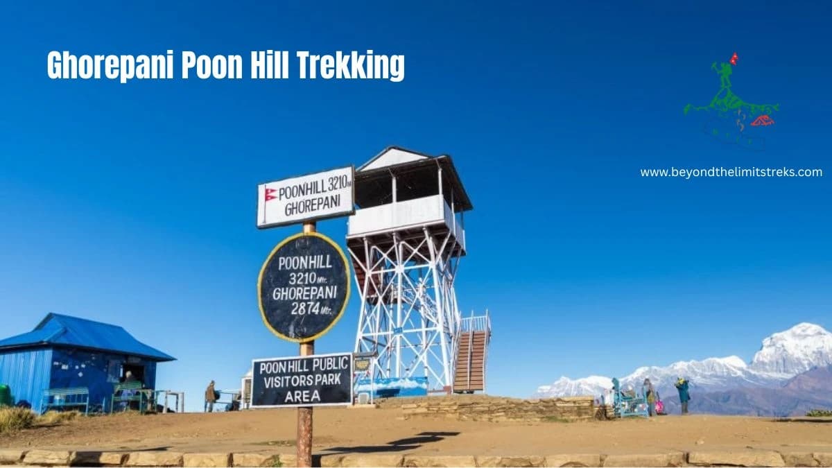 Poon Hill trekking