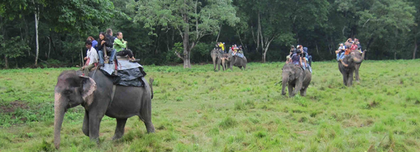 Jungle Safari In Chitwan National Park